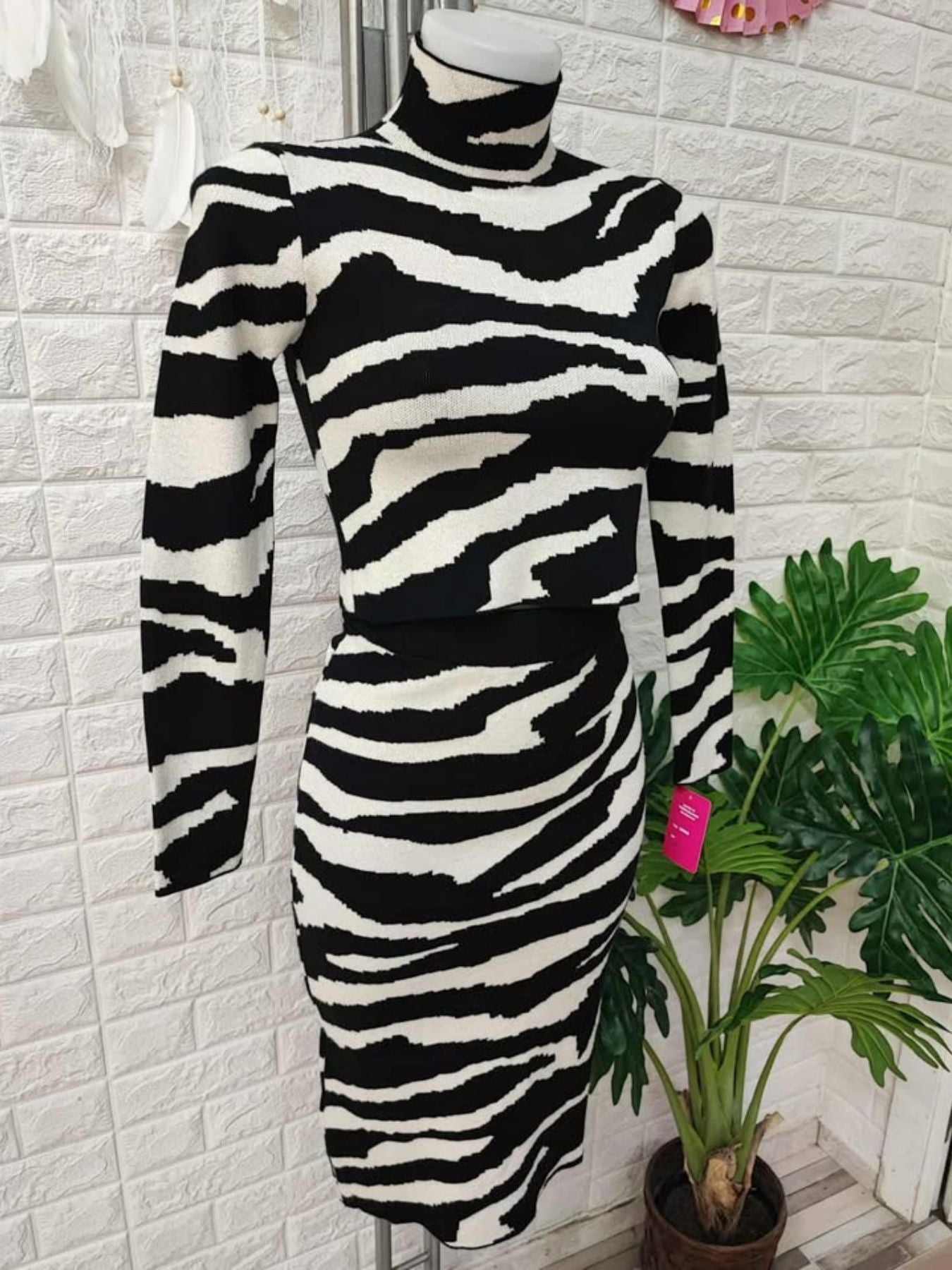 CONJUNTO AFRICA