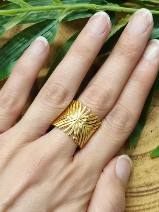ANILLO DISS