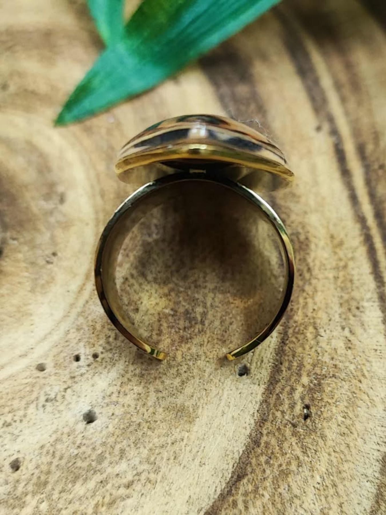 ANILLO LEO