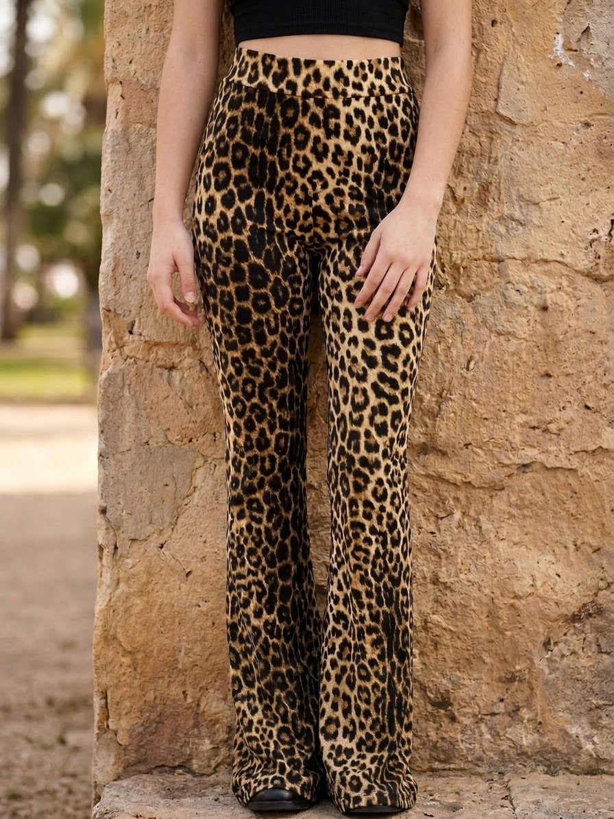 PALAZZO LEOPARDO ref. 0315